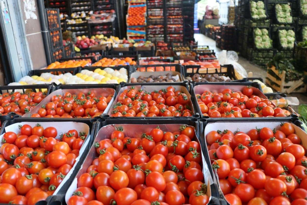 Halciler Derneği Başkan Yardımcısı Baran: Fiyat artışlarının sebebi ürün azlığı ve girdi maliyetleri